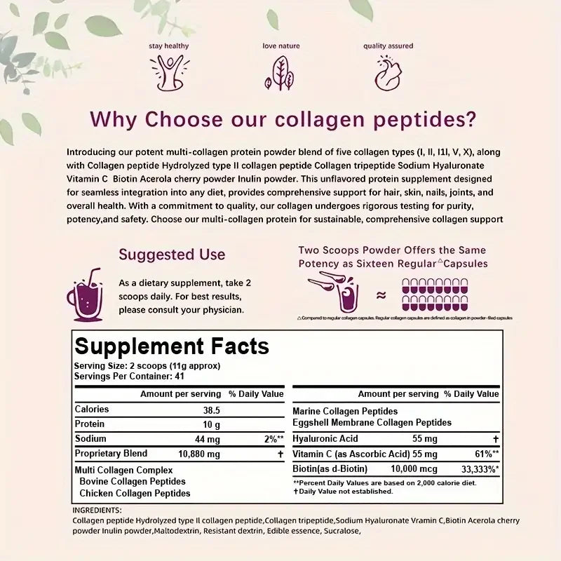Multi-Collagen Protein Powder – Types I, II, III, V & X – 1lb (454g) – Unflavored, Grass-Fed, Adult Supplement