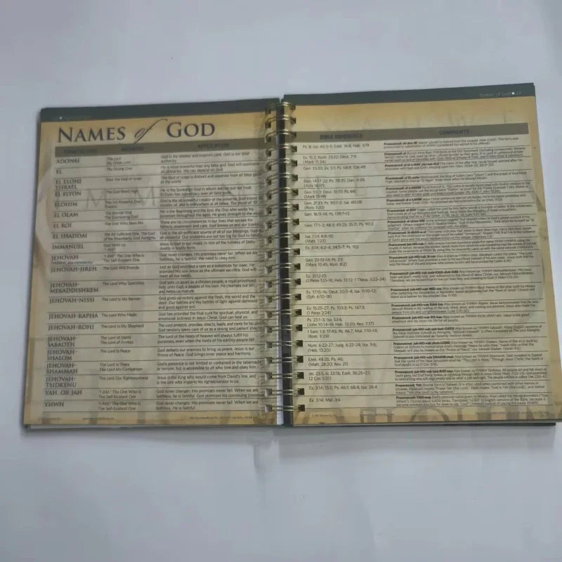 10th Anniversary Bible Study Guide – Charts, Maps & Timelines Pilgrimage Travel Companion (English Edition)