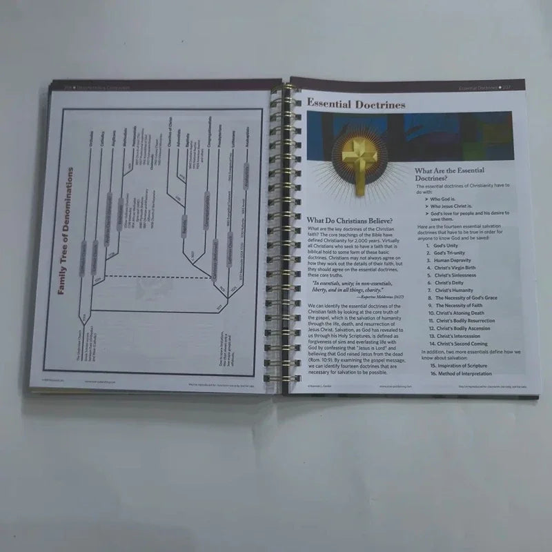 10th Anniversary Bible Study Guide – Charts, Maps & Timelines Pilgrimage Travel Companion (English Edition)