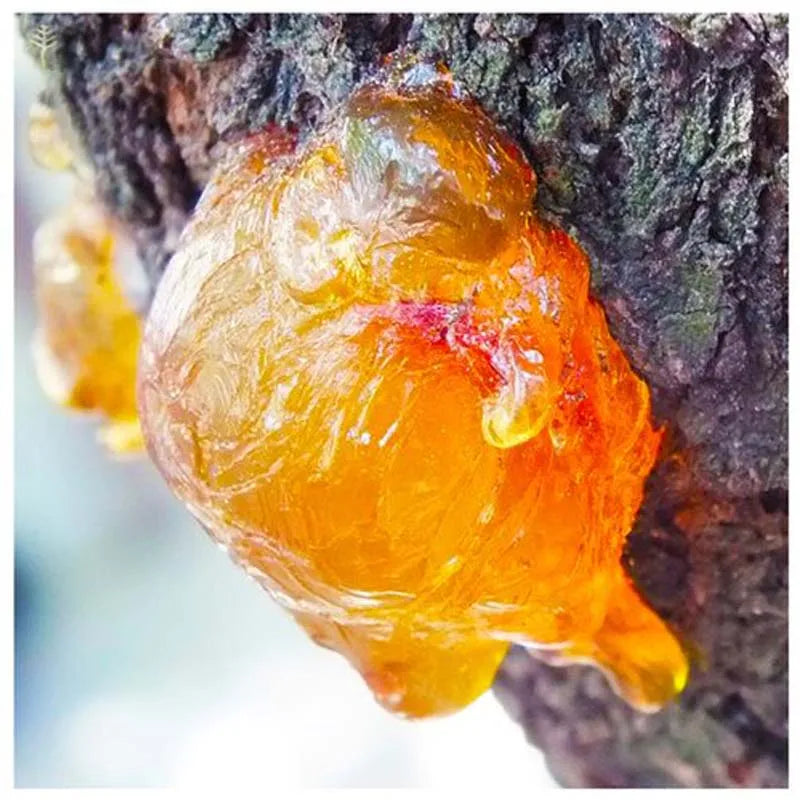 Organic Frankincense Resin – Natural Aromatic Incense (Boswellia Frereana) – Bulk Gift Pack